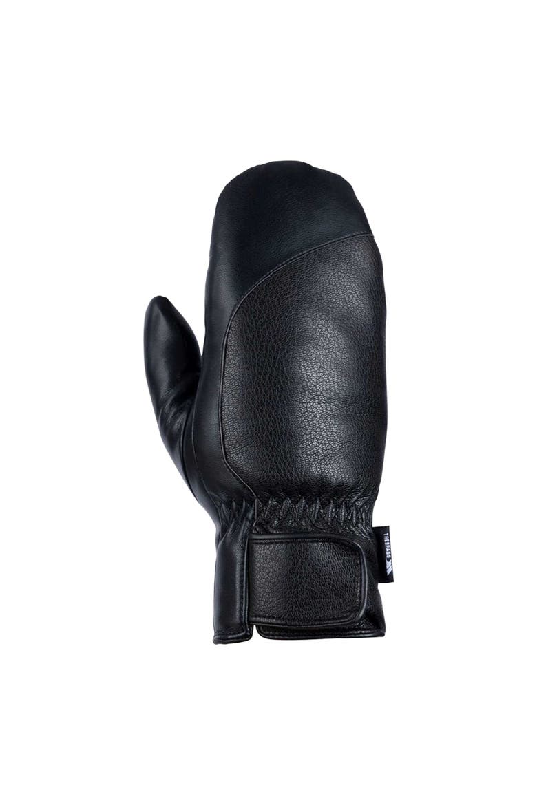 Fabiola Fleece Lined Logo Mittens, Main, color, Black
