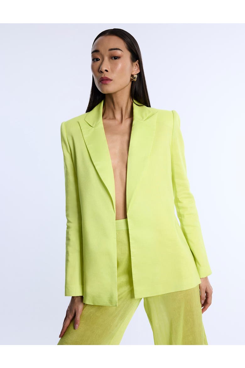 Airy Textured Blazer, Alternate, color, Chartreuse