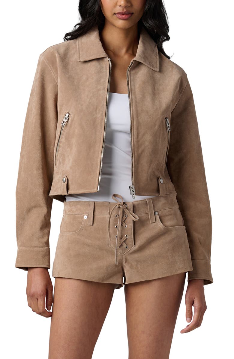 BLANKNYC Crop Suede Jacket, Alternate, color, Latte Frappe