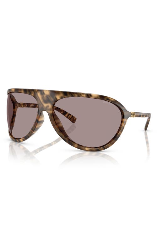 Miu Miu 75mm Oversize Shield Sunglasses In Brown