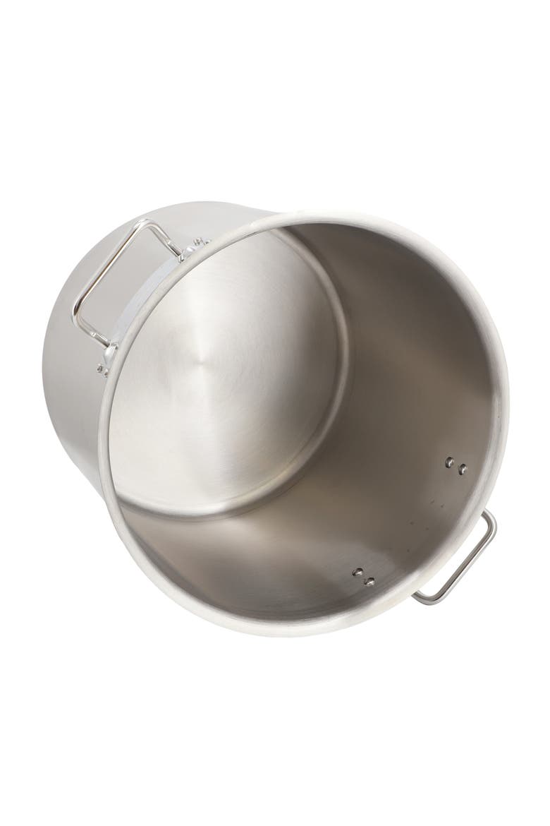 Professional Kitchen 38.5 Quart Round Stainless Steel Stock Pot with Lid, Alternate, color, Silver