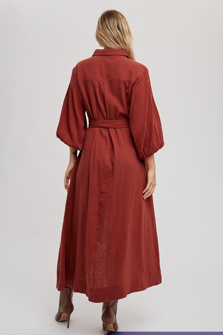 Gauze Belted Shirt Midi Dress, Alternate, color, Rust