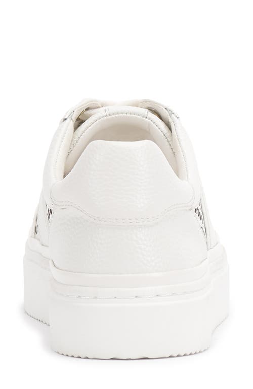 Vince Camuto Vc-raiden Sneaker In White