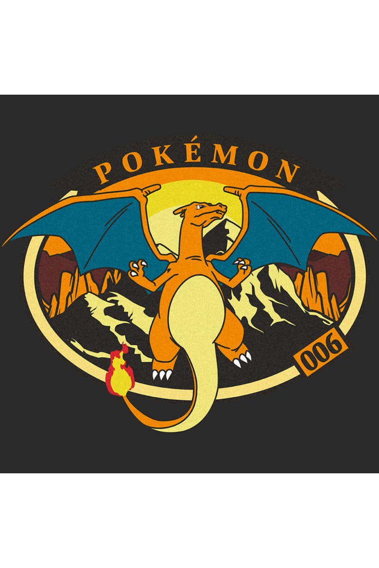Men's Pokemon Charizard 006  Graphic T-Shirt, Alternate, color, Charcoal