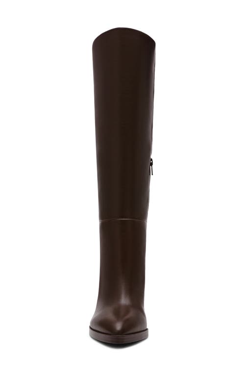 Dolce Vita Dv By Bardonny Tall Boot In Brown