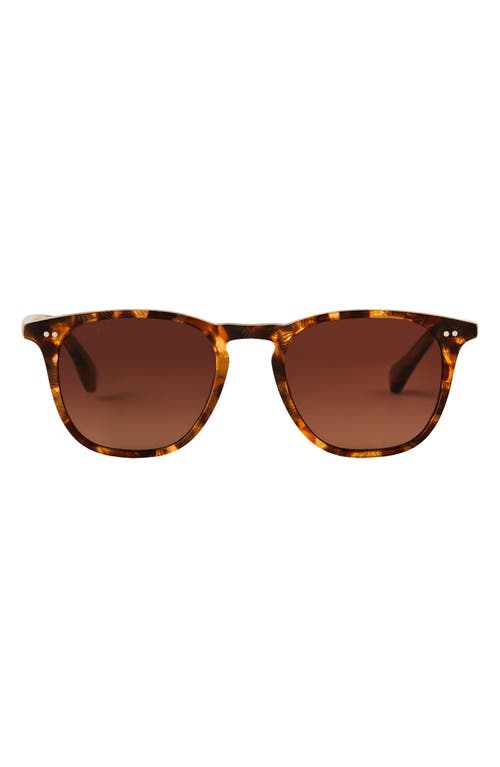 DIFF DIFF MAXWELL 51MM POLARIZED SQUARE SUNGLASSES