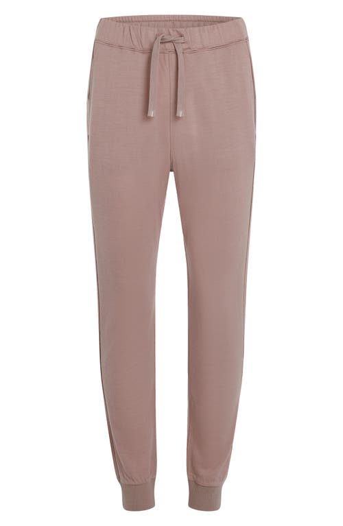 Icebreaker Crush Ii Joggers In Neutral