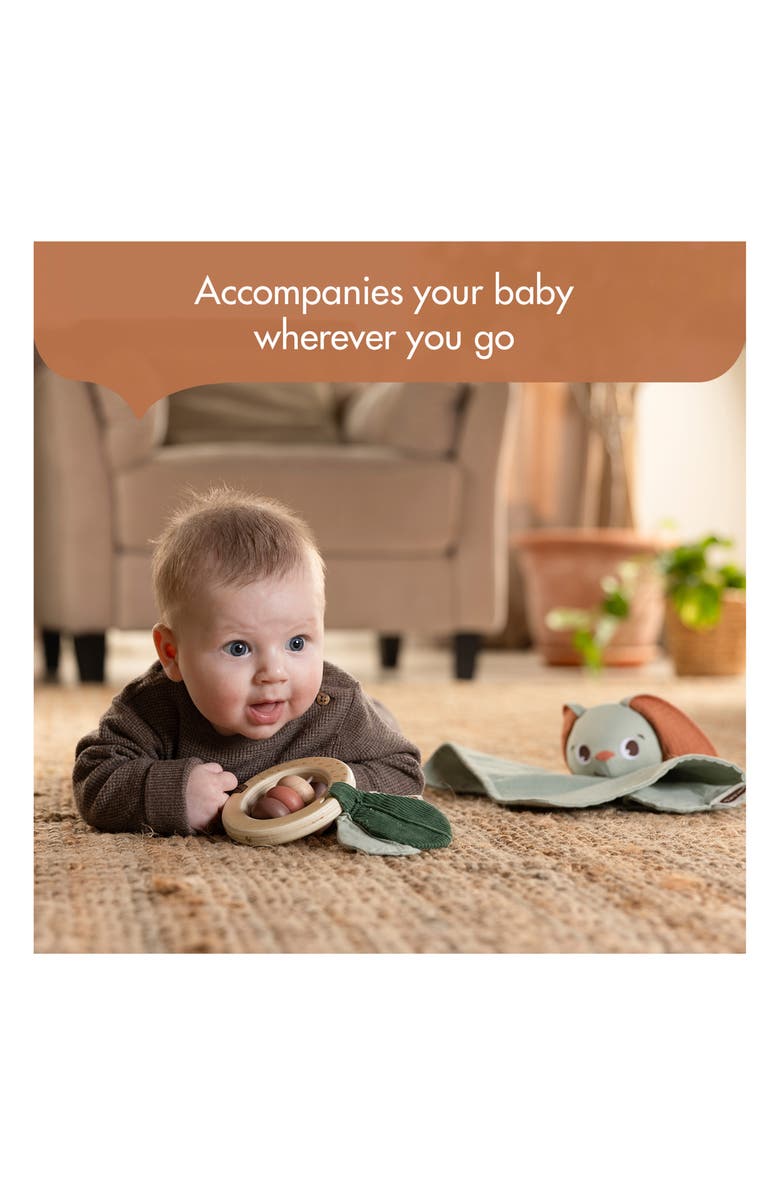 TINY LOVE Soft Bunny Lovey & Wooden Rattle Set, Alternate, color, Garden Of Adventure Collection