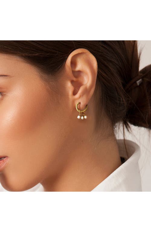 Delmar Cultured Freshwater Pearl Drop Huggie Hoop Earrings In Brown