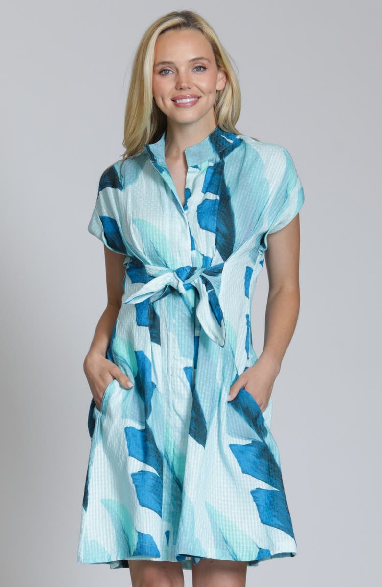 APNY Short Sleeve Seersucker Shirtdress, Alternate, color, 