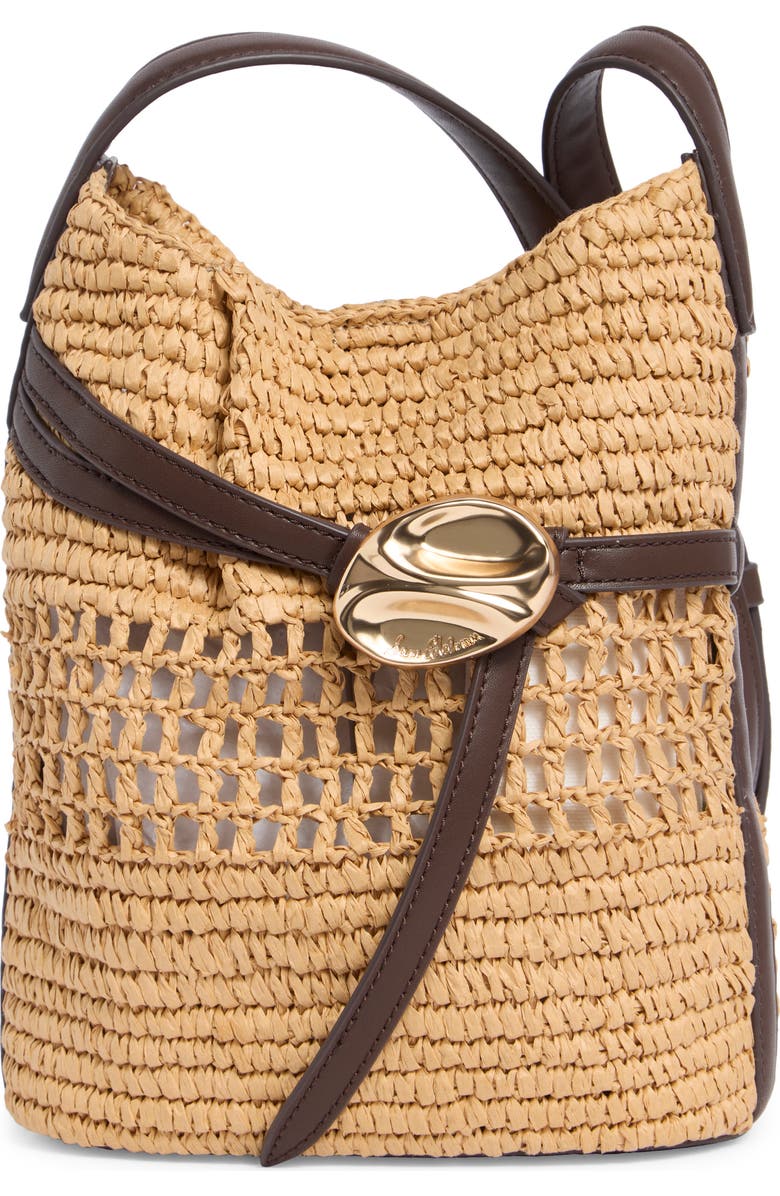 Sam Edelman Bex Raffia Crossbody Bag, Main, color, Brown Multi