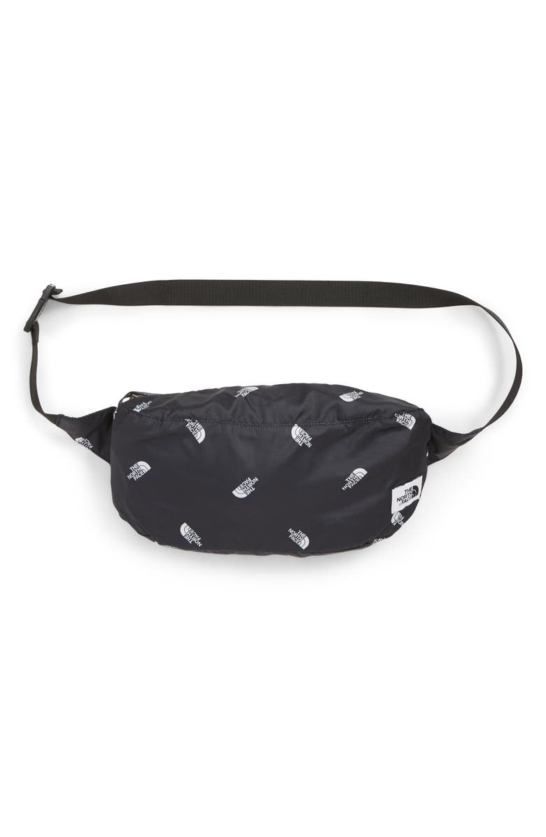 The North Face Fanorak Water Repellent Windbreaker, Alternate, color,