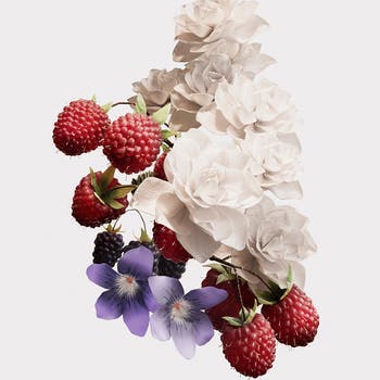 Her Eau de Parfum