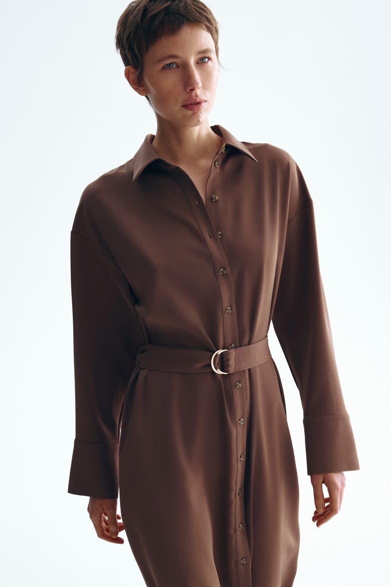 Belted Shirt Dress, Alternate, color, Brown
