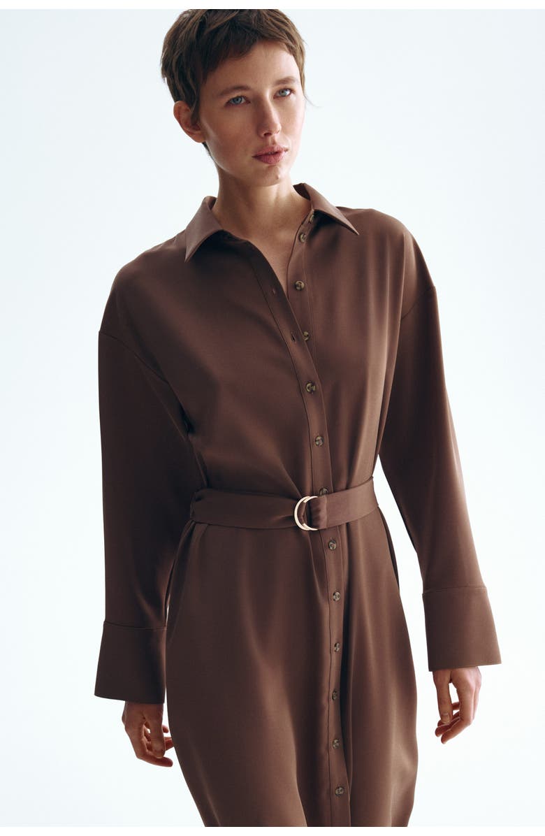H&M Belted Shirt Dress, Alternate, color, Brown