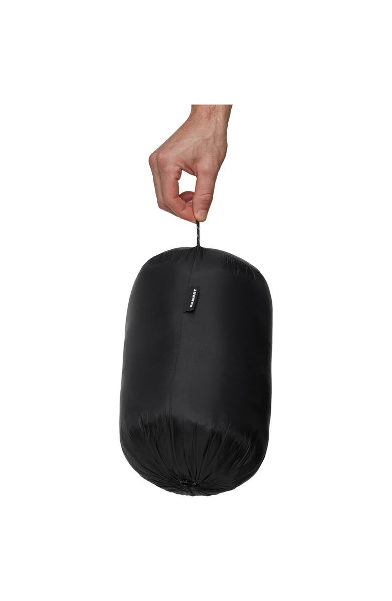 Mammut Taiss Pro Belay In Hooded Jacket - Men's, Alternate, color, Black