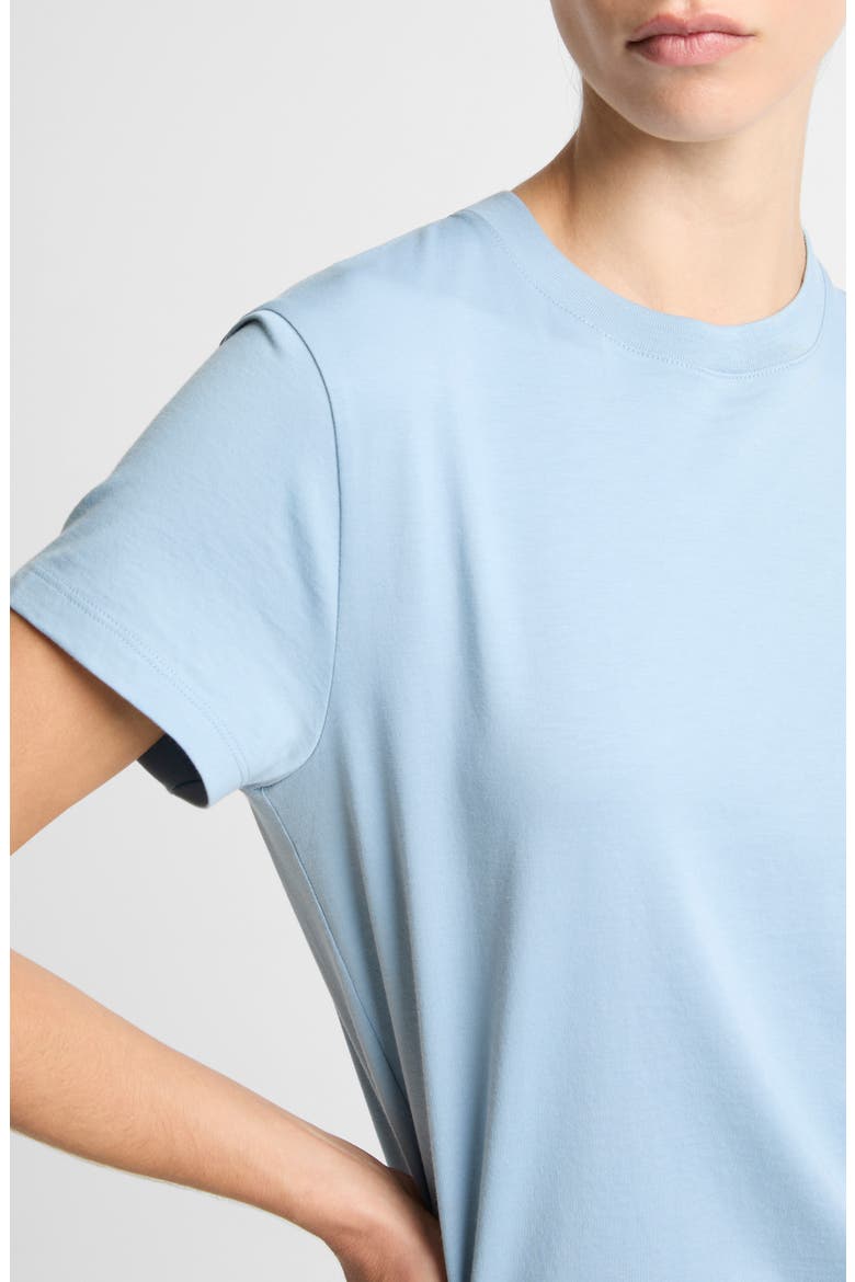 Pima Cotton Crewneck T-Shirt, Alternate, color, DEL MAR