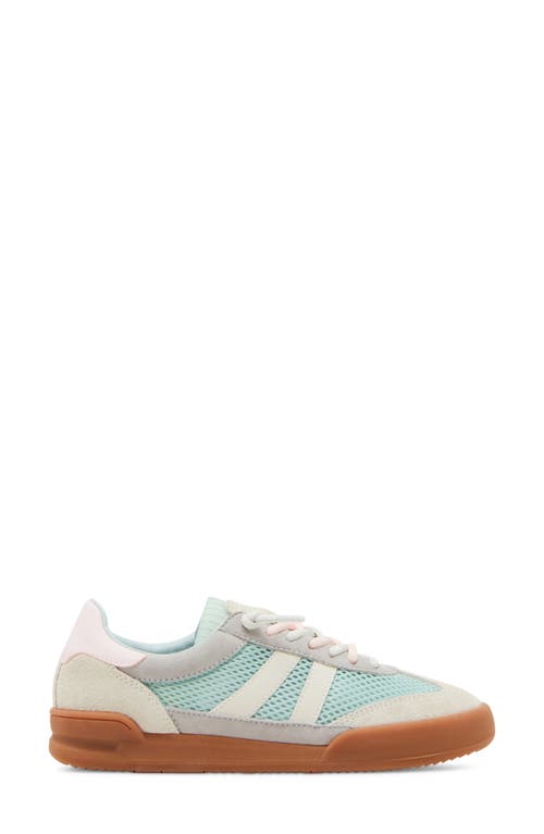 Steve Madden Verdict Mesh Sneaker In Turquoise