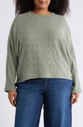 Democracy Textured Dolman Sleeve Sweater