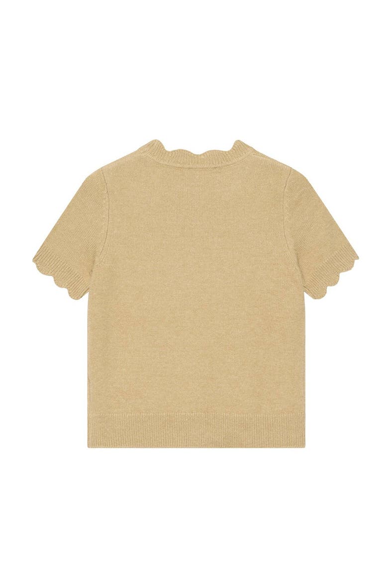 Scallop Trim Knit Top, Alternate, color, Green