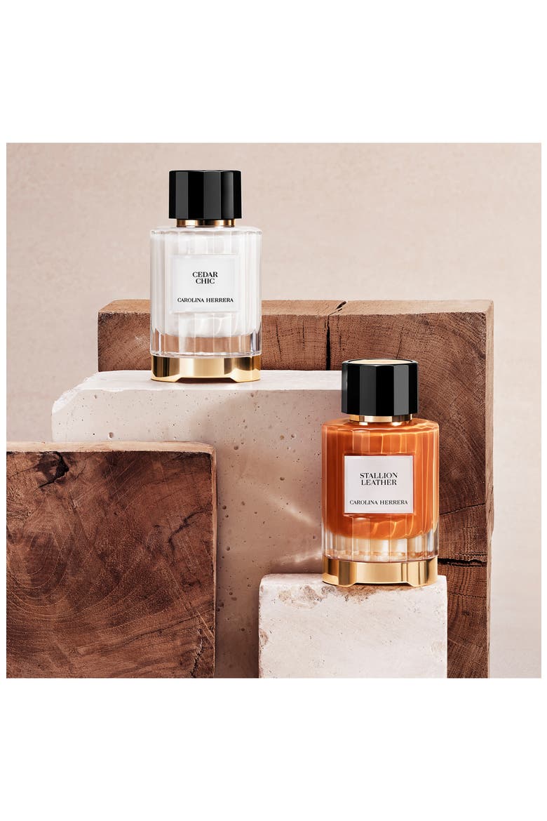 Stallion Leather Eau de Parfum (Nordstrom Exclusive), Alternate, color, NO COLOR