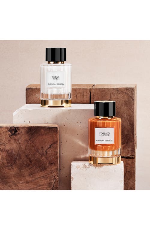 Carolina Herrera Stallion Leather Eau De Parfum In Orange