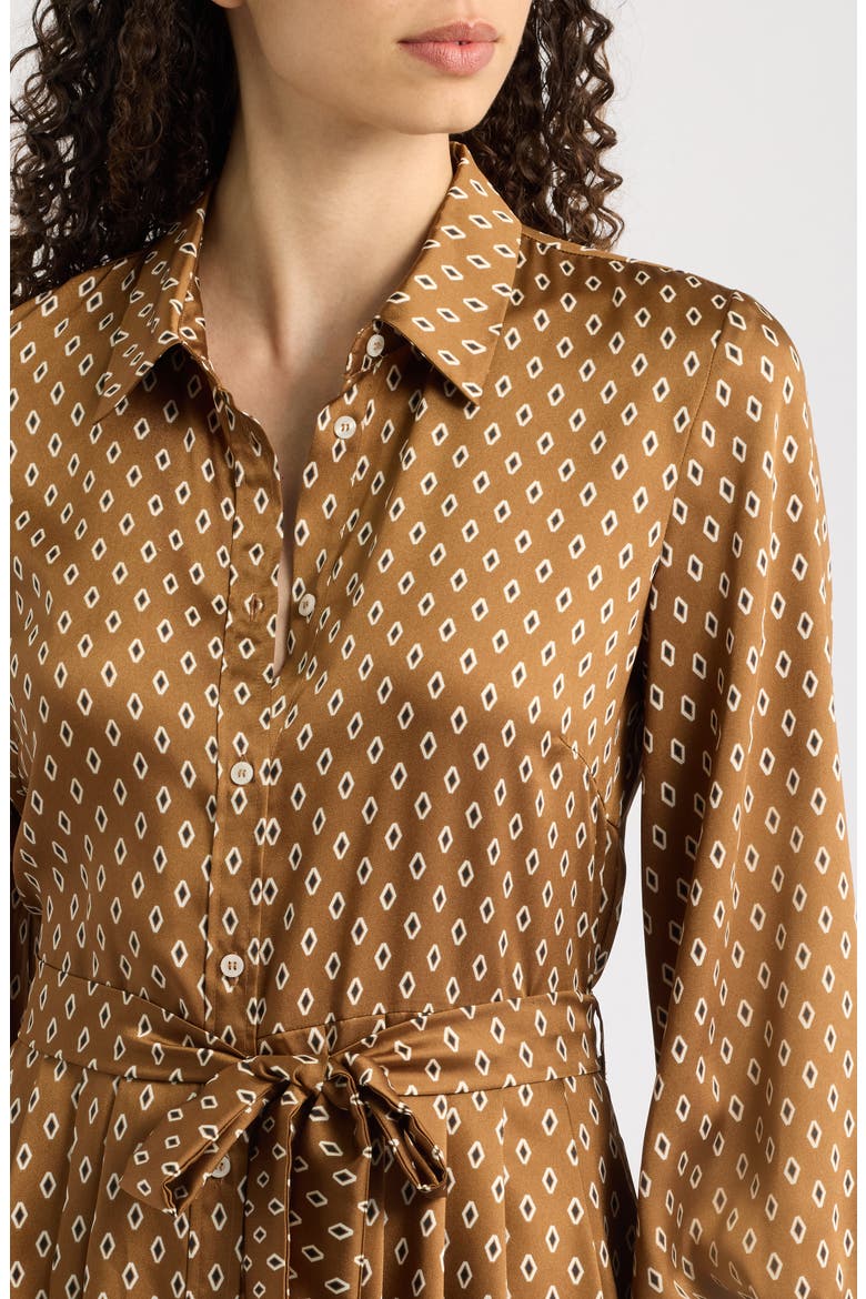 Passo Geometric Long Sleeve Midi Shirt Dress, Alternate, color, BURNT BROWN