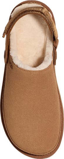 Goldenstar Cozy Clog