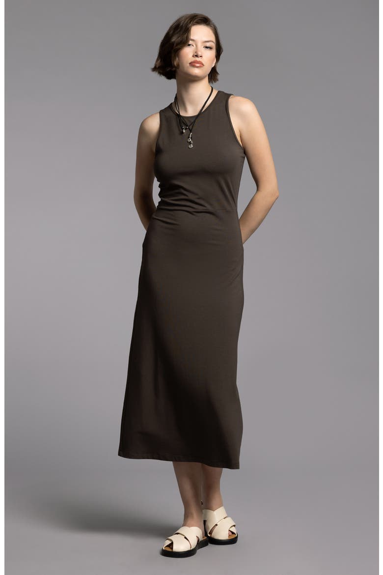 Lili Sleeveless Dress, Alternate, color, BLACK BROWN