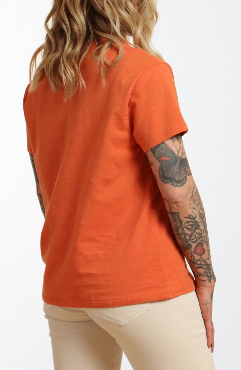 Brooklyn Industries Dodgiecat Cotton Graphic T-Shirt, Alternate, color, 