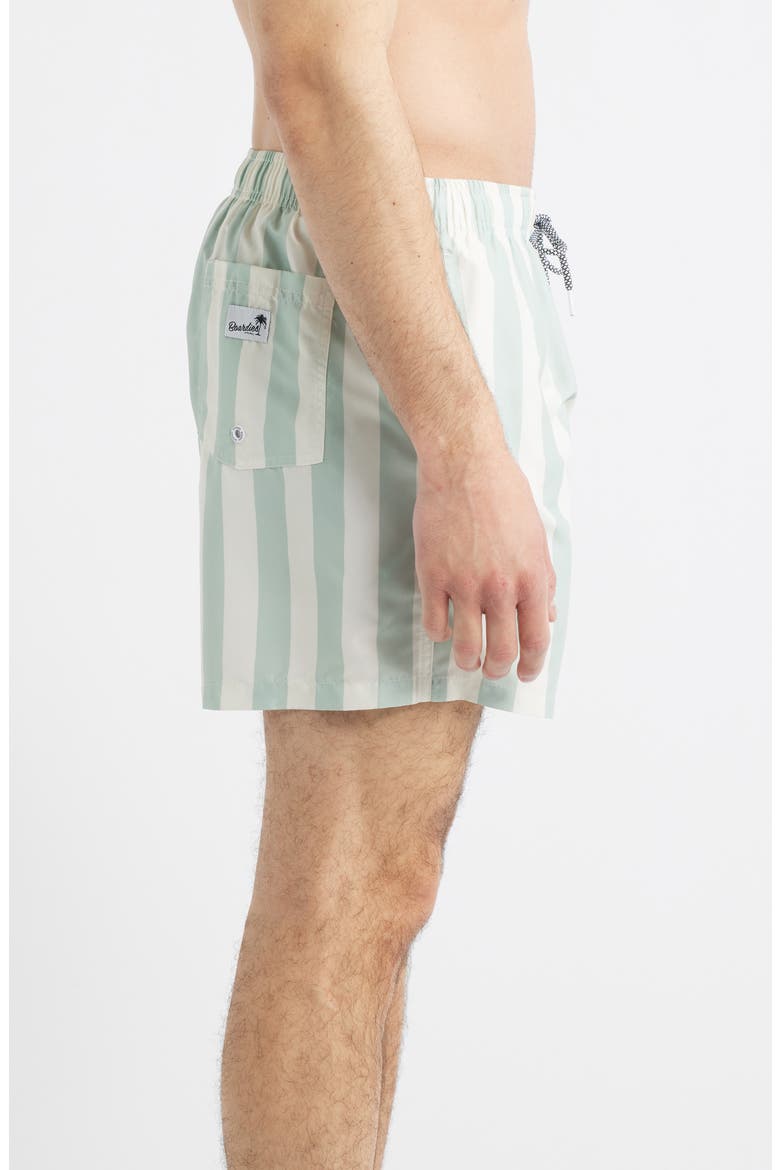 Stripe Swim Trunks, Alternate, color, GREEN/ CREAM