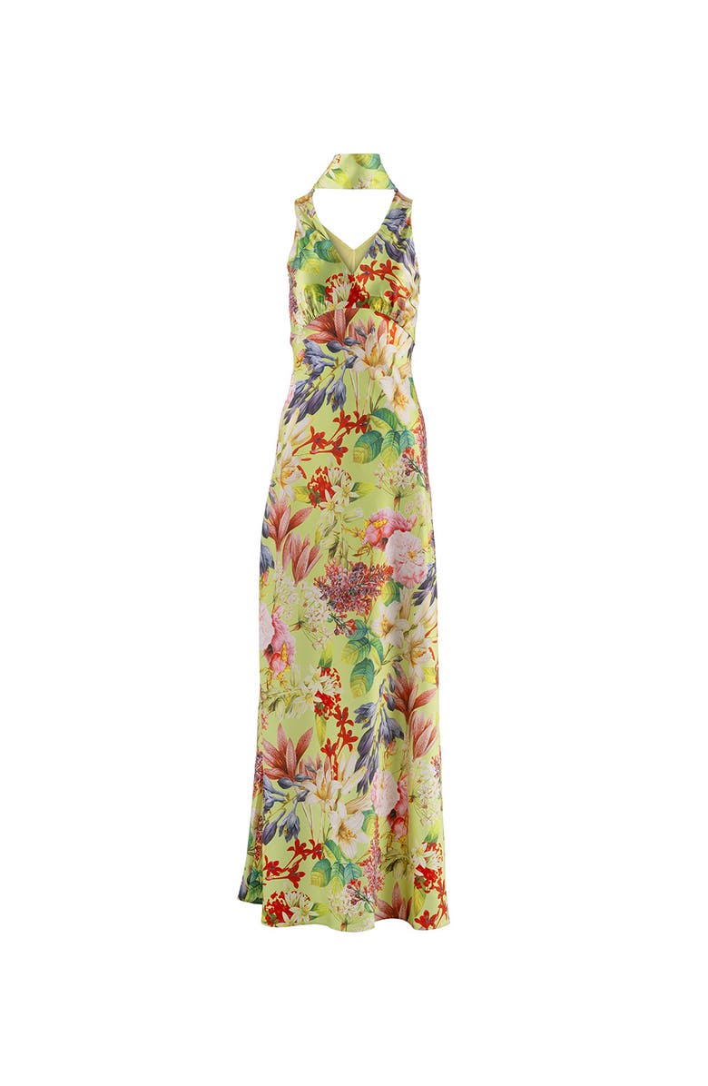 Vasiliki Catalina Silky Gown In Eden Tapestry, Main, color, Eden Tapestry