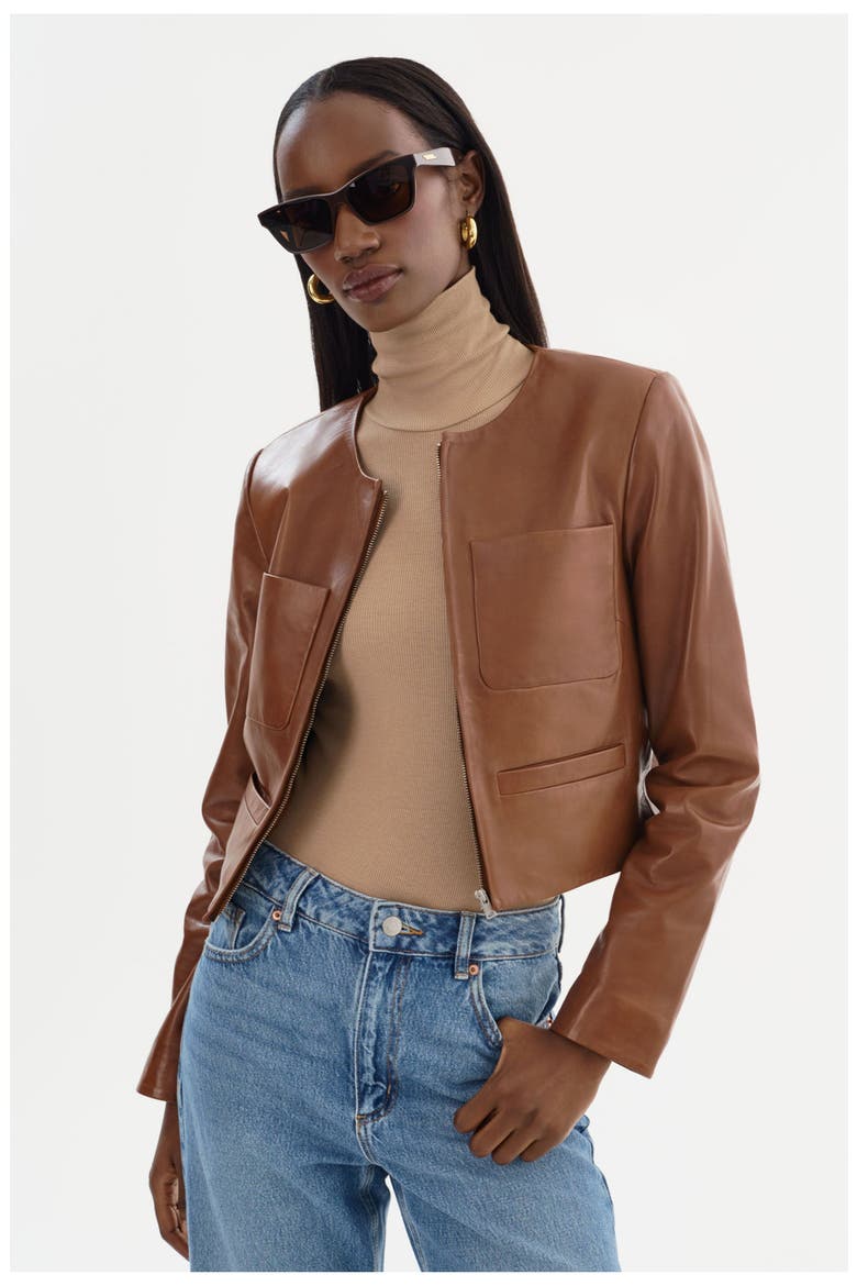 LINETTE | Leather Jacket, Alternate, color, Luggage