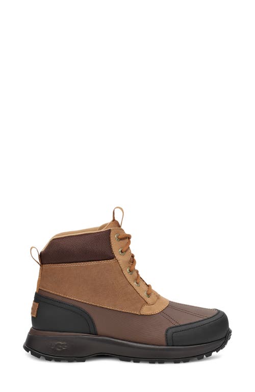 Ugg Mens  Emmett Duck Boot In Brown