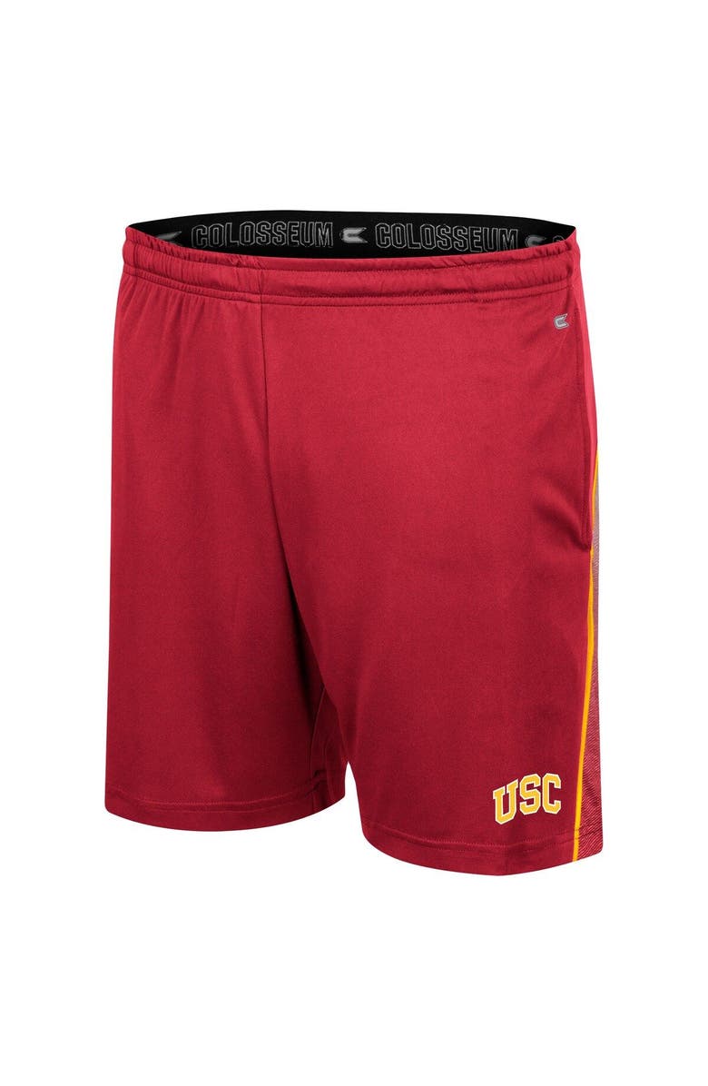 COLOSSEUM Men's Colosseum Cardinal USC Trojans Laws of Physics Shorts, Alternate, color, 