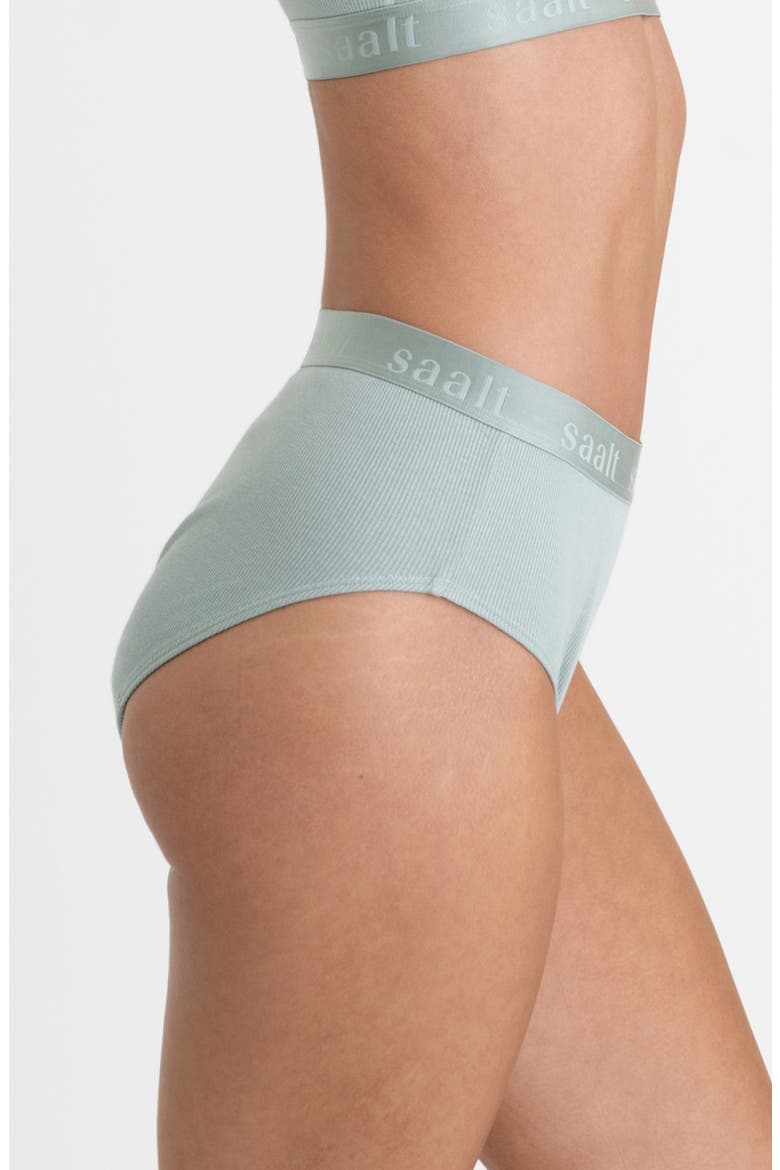 Period & Leakproof High Rise Stretch Cotton & Modal Rib Briefs, Alternate, color, SEAGLASS