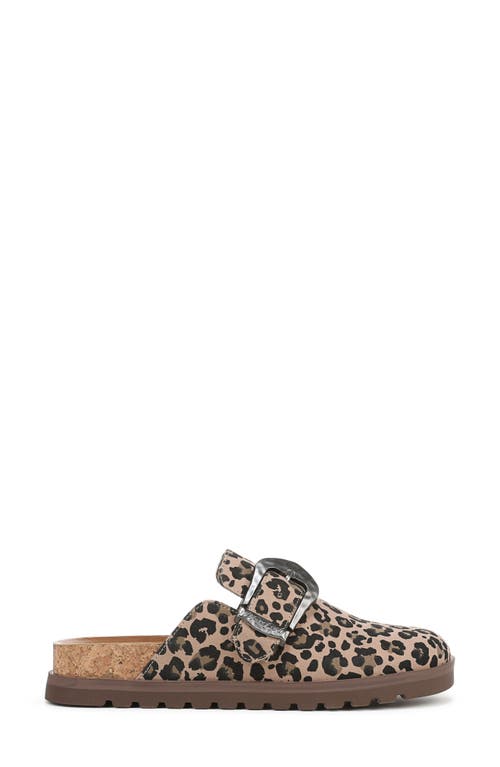 BLOWFISH MALIBU BLOWFISH MALIBU SIENNA BUCKLE CLOG