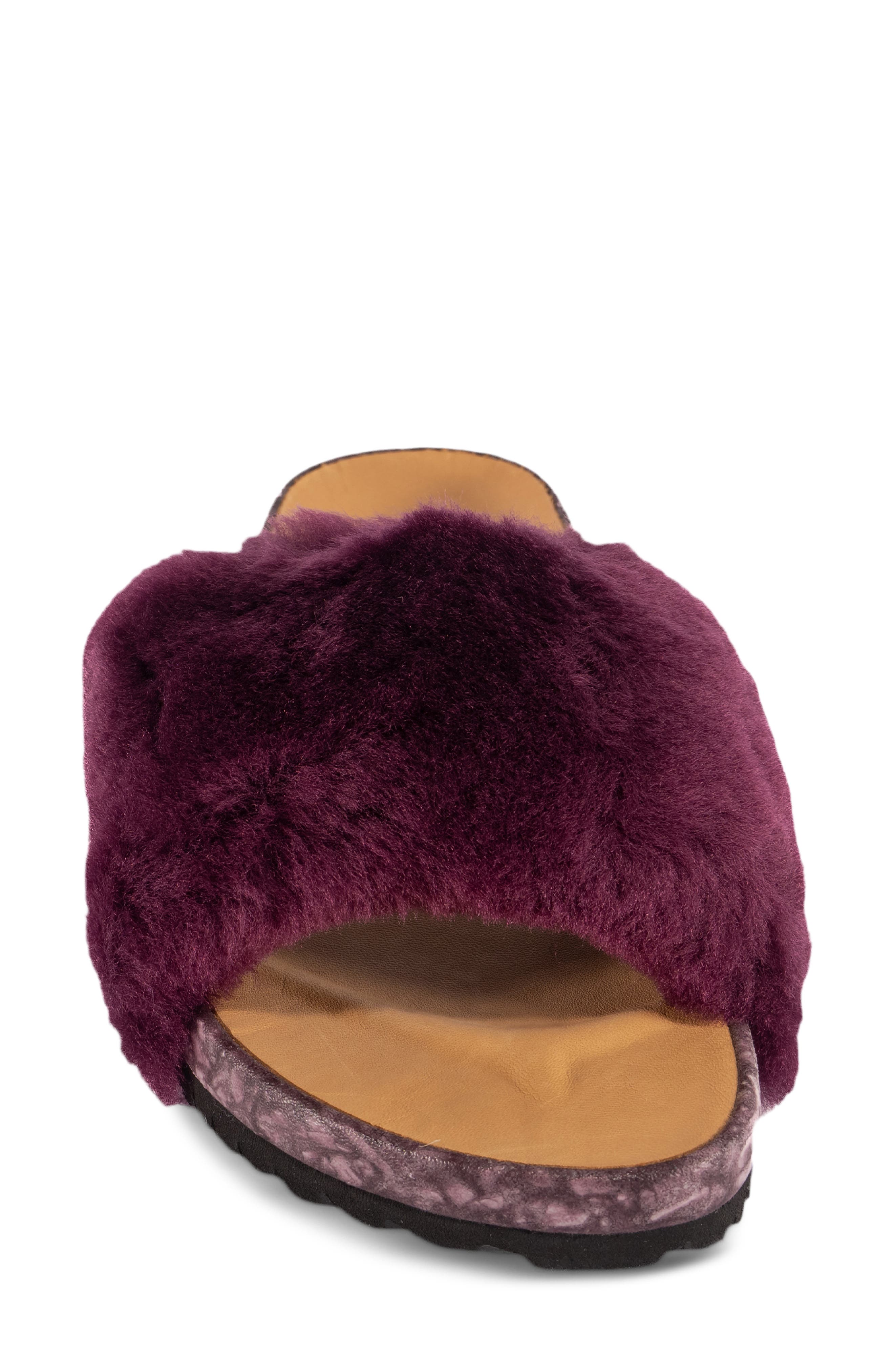 San Ysidro Genuine Shearling Slide Sandal, Alternate, color, FIG