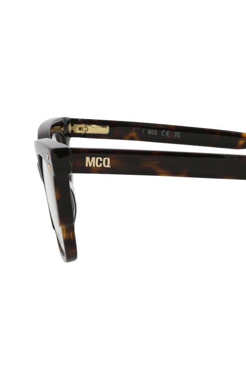 Alexander Mcqueen Mcqueen 50mm Cat Eye Optical Glasses In Havana Havana Transparent