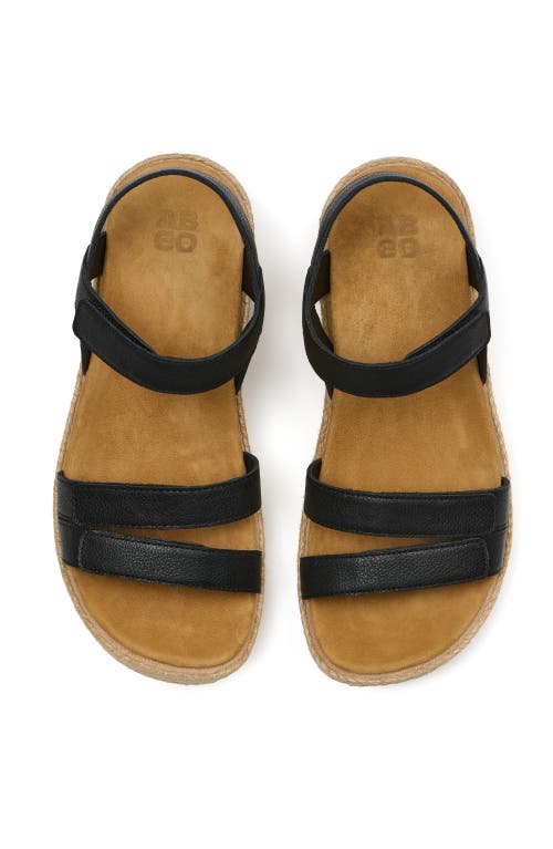 Abeo Solstice Strap In Black - Regular