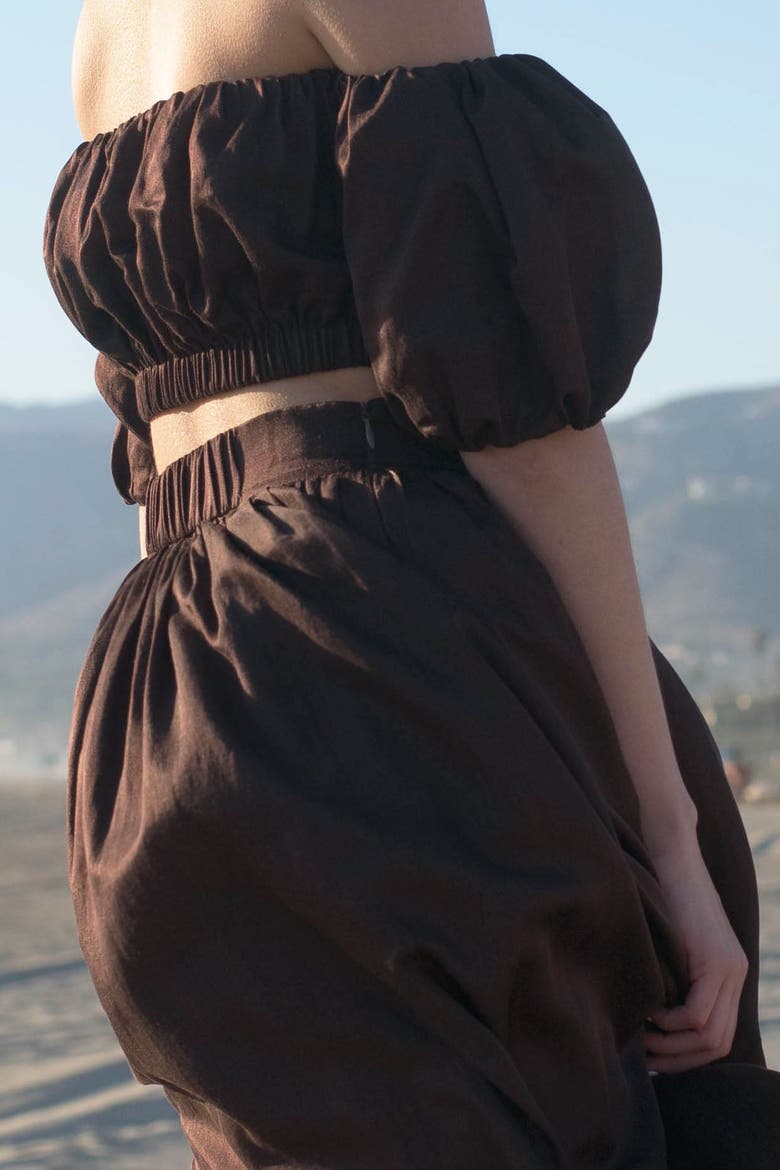 Isabelle Cotton Silk Maxi Skirt, Alternate, color, Brown