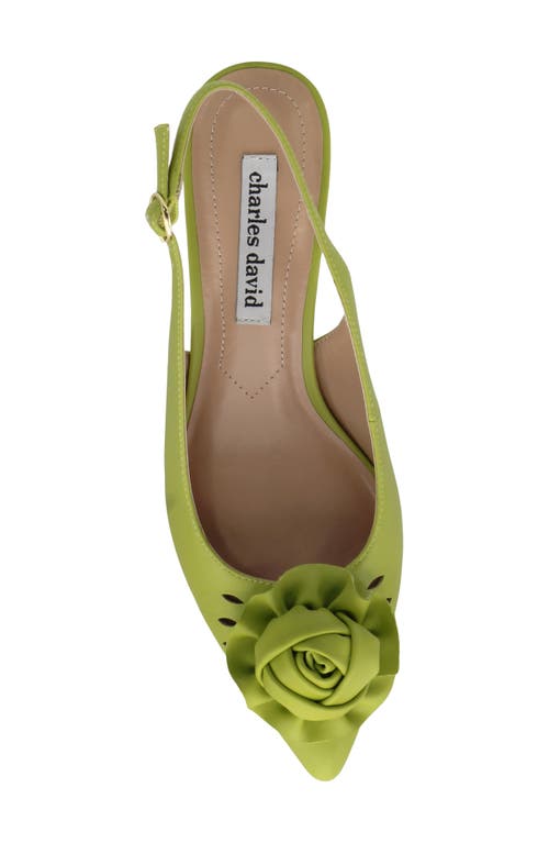 Charles David Azure Slingback Pump In Lime