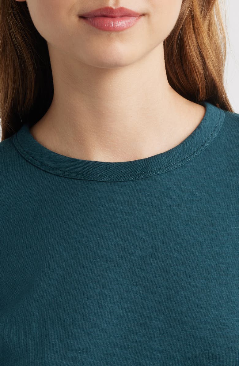 rag & bone The Slub Organic Pima Cotton T-Shirt, Alternate, color, Drktl