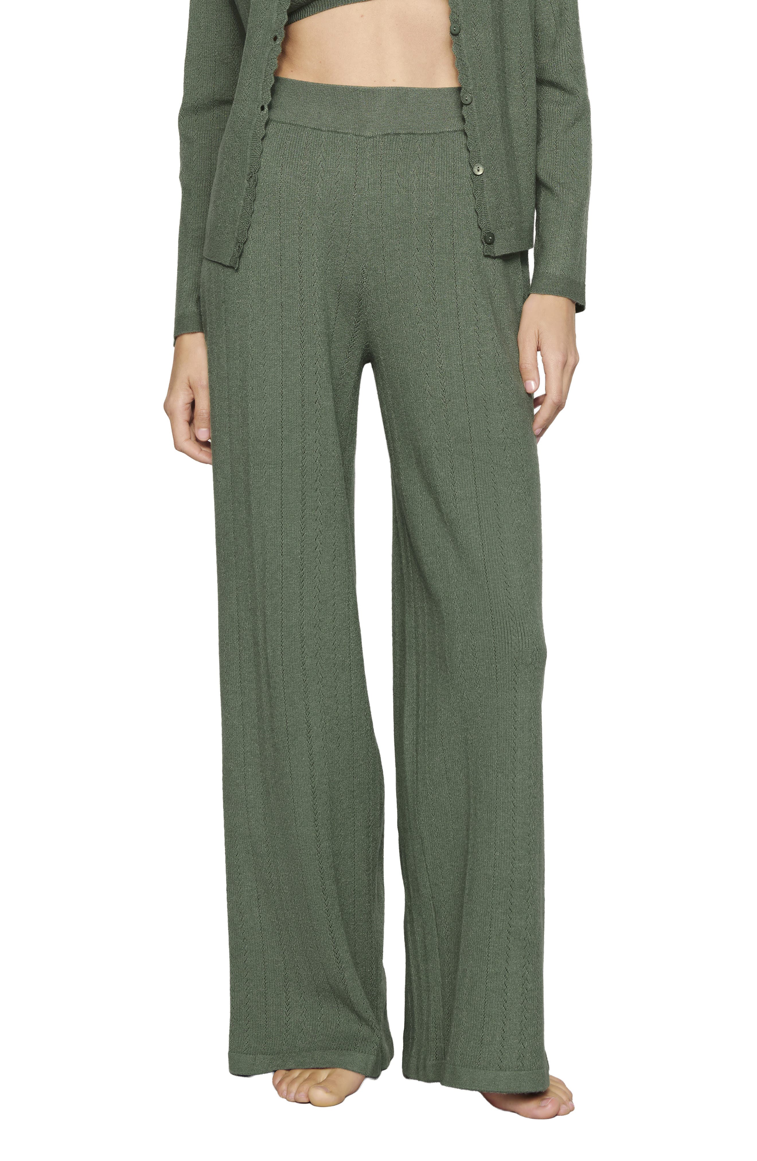 Eberjey Pointelle Straight Leg Pants in Desert Sage at Nordstrom, Size X-Large