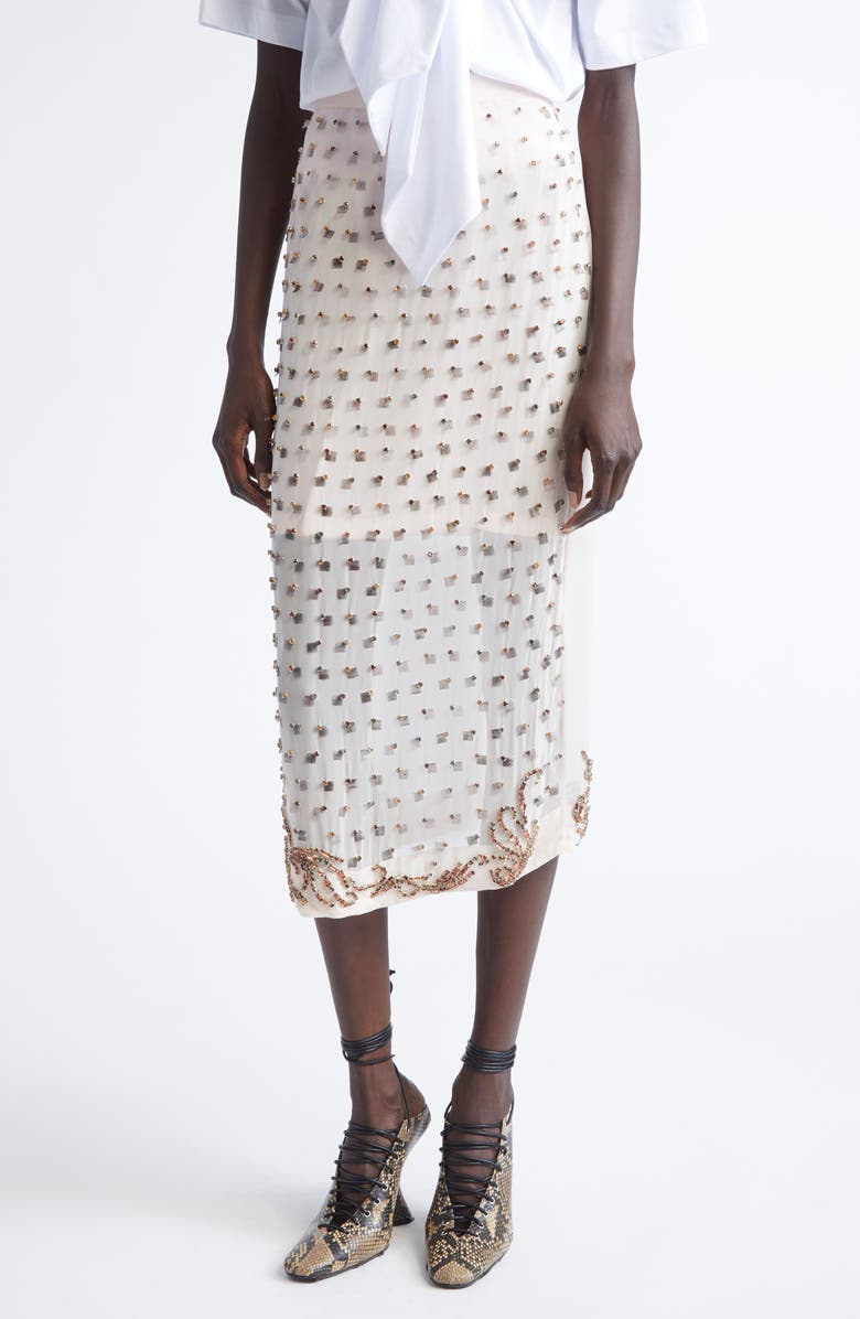 Dries Van Noten Sokna Embellished Midi Skirt, Main, color, Blush