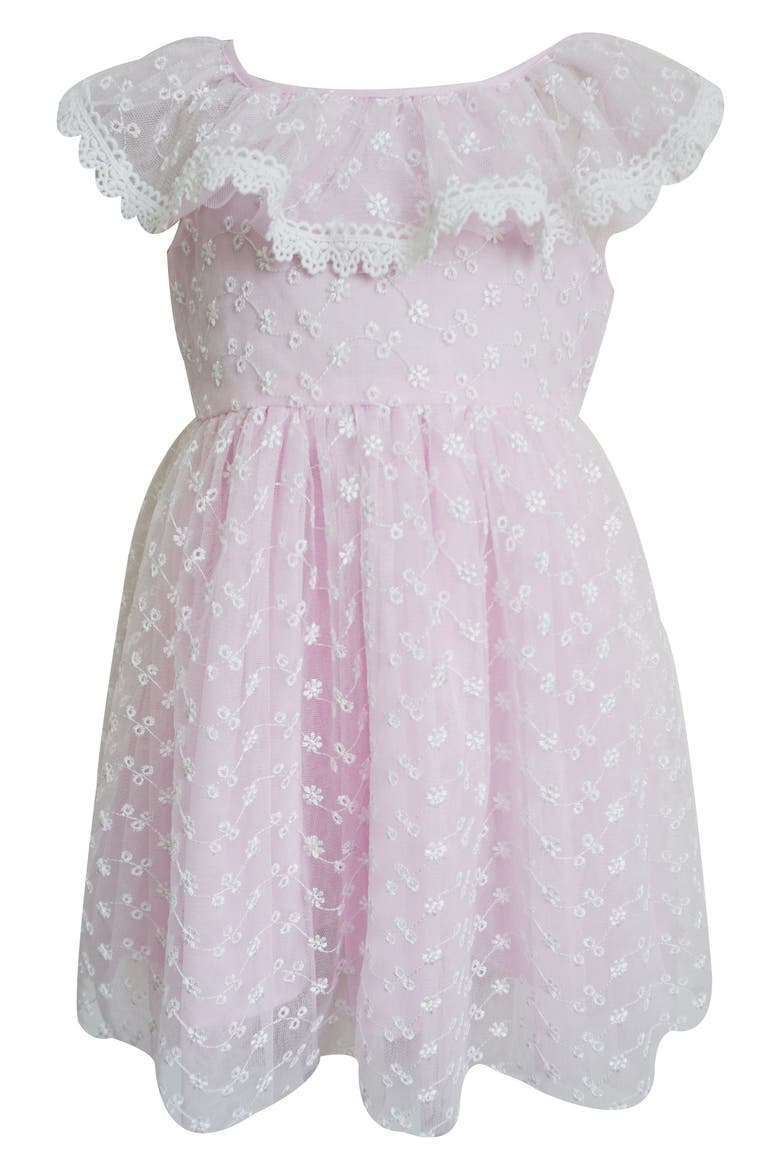 Kids' Ruffle Embroidered Party Dress, Main, color, PINK