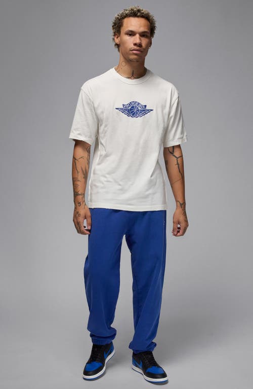Jordan Rare Air Graphic T-shirt In Blue