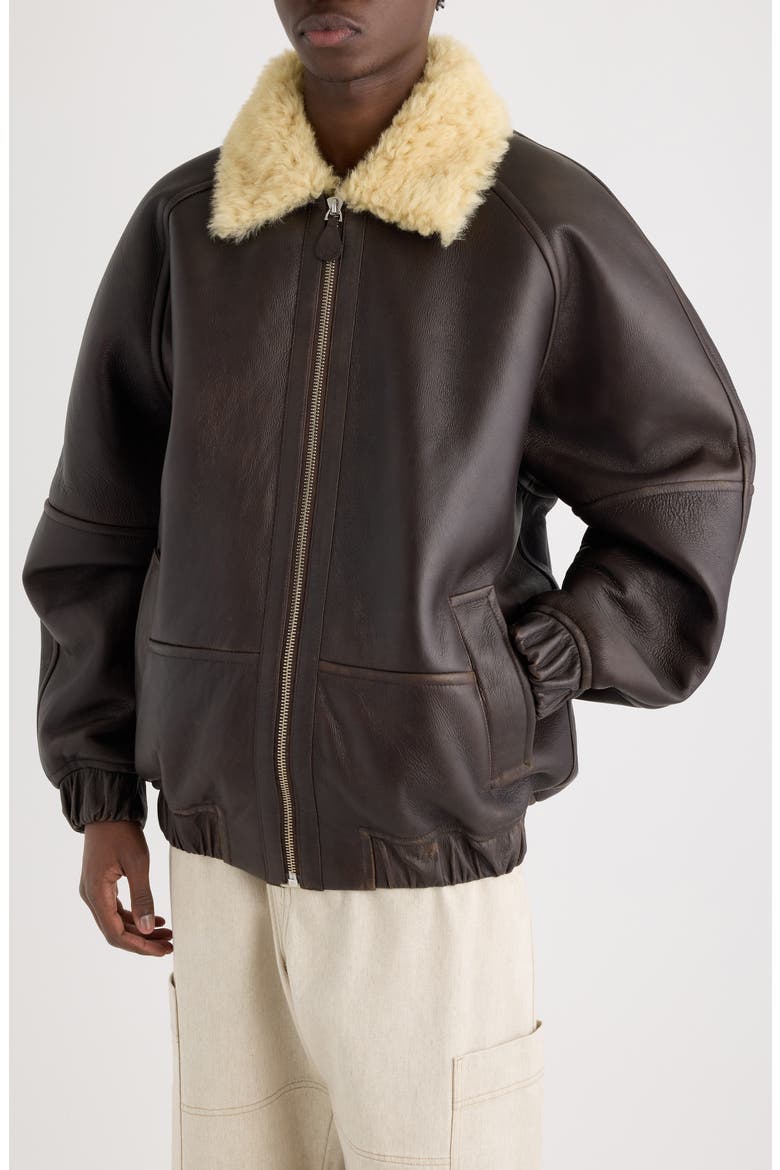 Le Bombardier Lambskin Leather & Genuine Shearling Aviator Jacket, Alternate, color, DARK BROWN