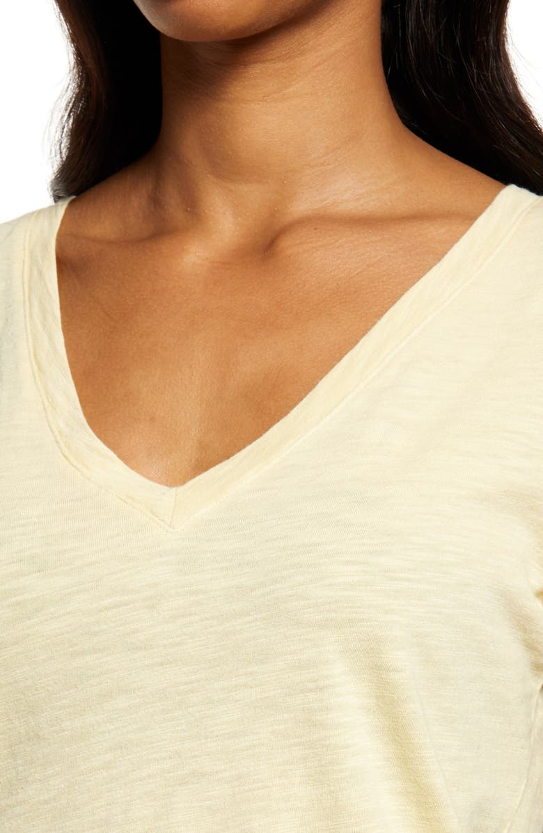 Splendid Botanical V-Neck Cotton & Modal Tee, Alternate, color, 