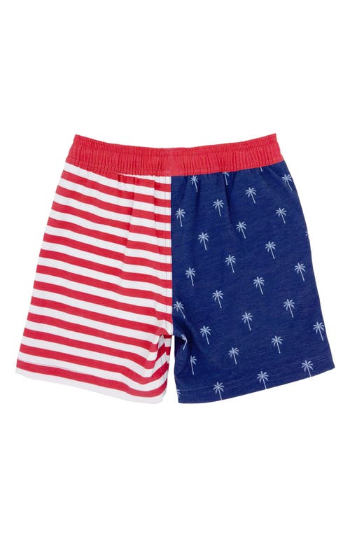 Feather 4 Arrow Kids' Palm Stripe Volley Swim Trunks In Twilight